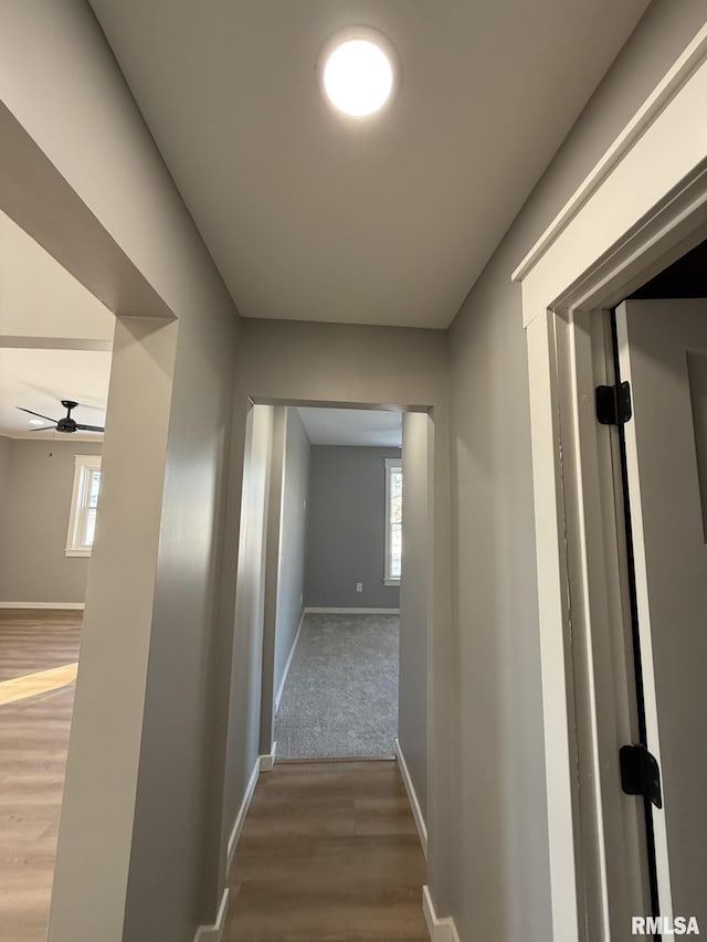 hall with plenty of natural light, wood finished floors, and baseboards