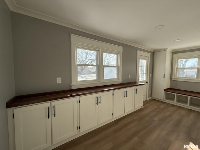 interior space with ornamental molding, recessed lighting, dark wood-style flooring, and a wealth of natural light