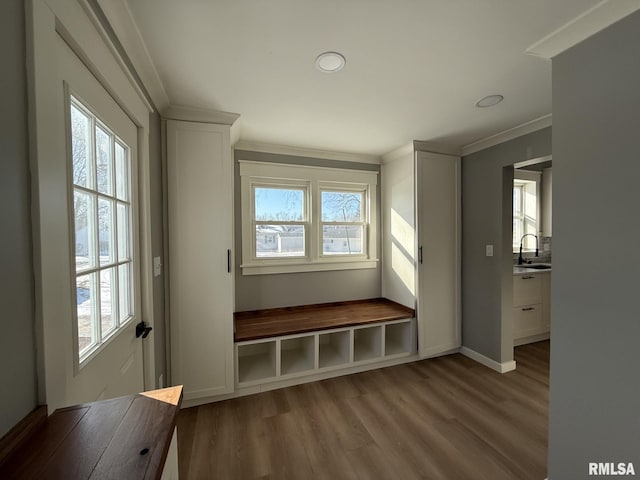 mudroom featuring light wood-type flooring, a wealth of natural light, ornamental molding, and a sink