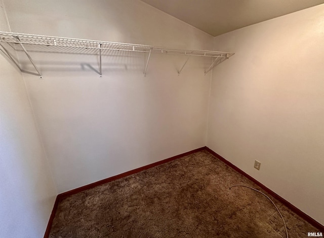 walk in closet featuring carpet