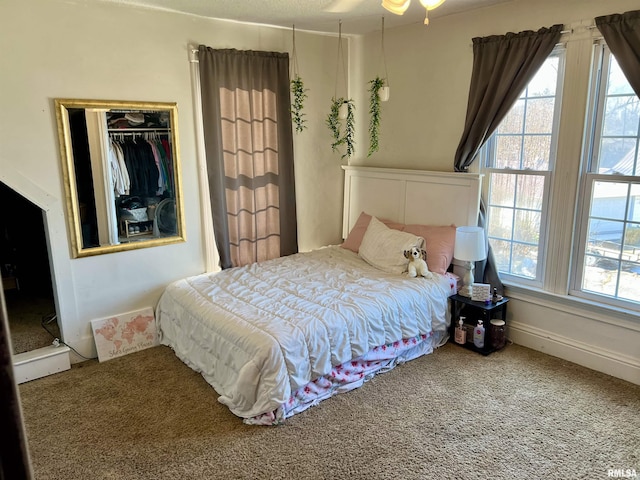 102 W Lorton St, Roodhouse, IL 62082 - view of carpeted bedroom