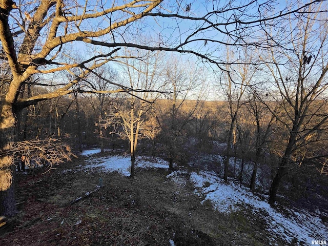 view of local wilderness