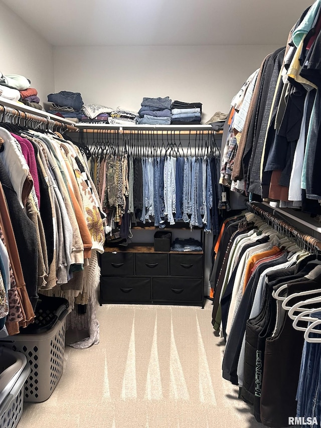 spacious closet featuring carpet floors