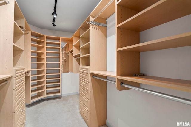 spacious closet with light colored carpet