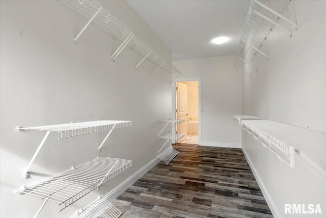 spacious closet featuring wood finished floors