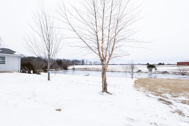 view of yard covered in snow