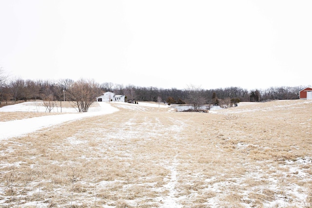 view of yard layered in snow