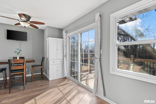 entryway featuring a ceiling fan, baseboards, and wood finished floors