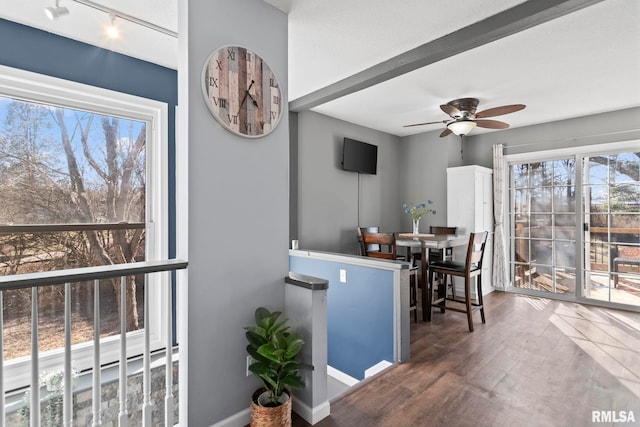 dining room featuring plenty of natural light, track lighting, a ceiling fan, and wood finished floors