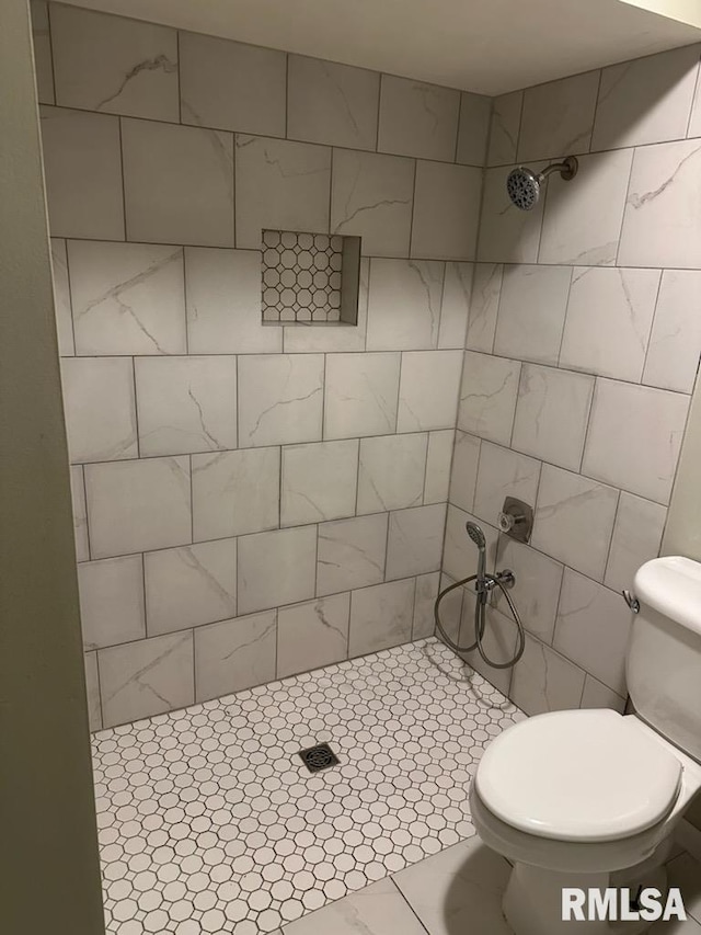 bathroom with a stall shower and toilet