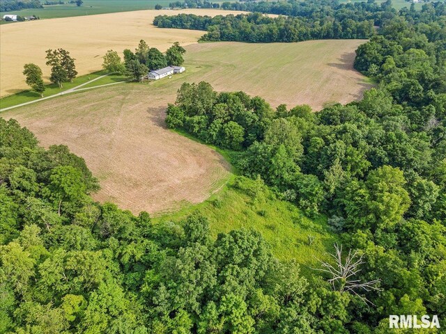 0 Gray Rd, Ashland, IL 62612 - photo 6