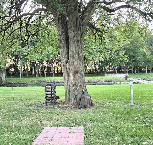 surrounding community featuring a lawn