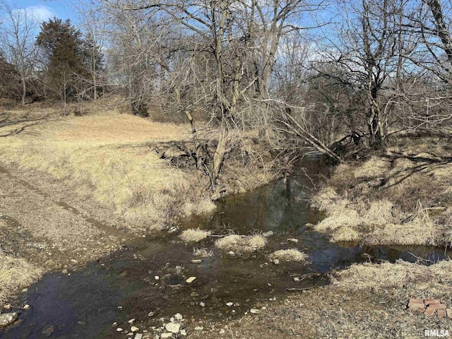 view of local wilderness featuring a wooded view