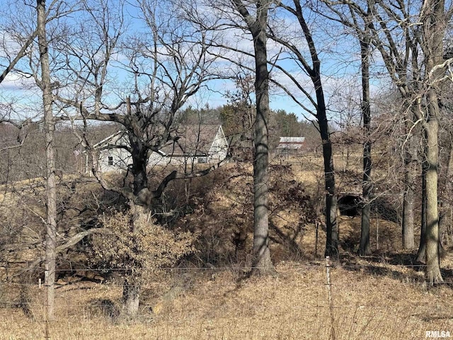 view of local wilderness