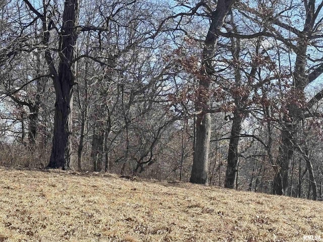 view of local wilderness featuring a wooded view