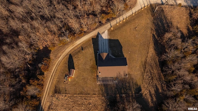 bird's eye view