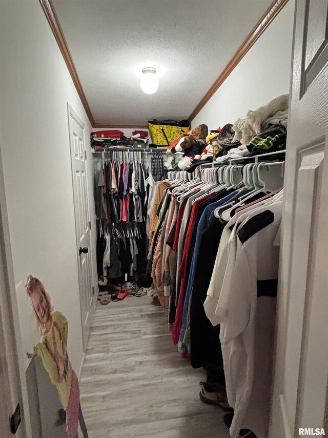 spacious closet featuring light wood-type flooring