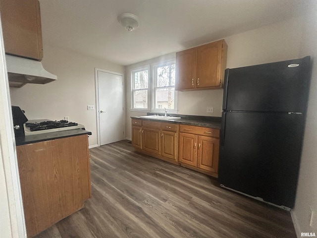 kitchen featuring under cabinet range hood, dark wood-type flooring, a sink, freestanding refrigerator, and dark countertops