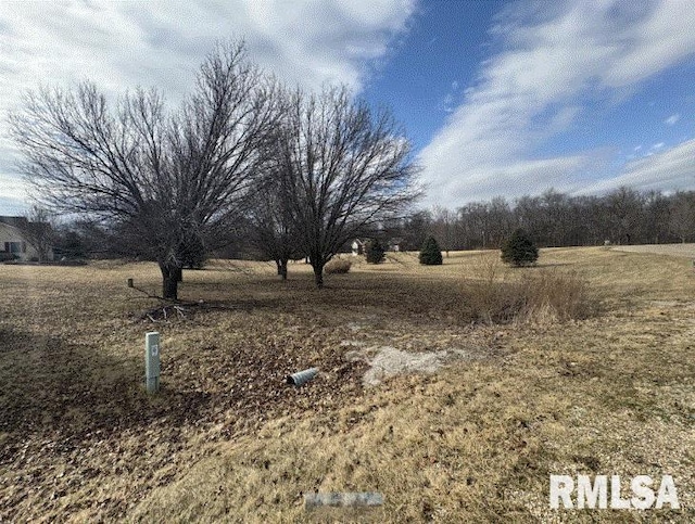 24862 Brookwood Hills Rd, Athens, IL 62613