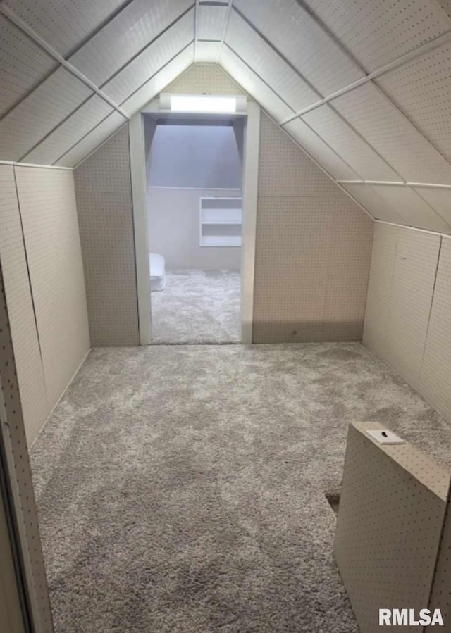 additional living space with lofted ceiling and carpet