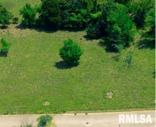 318 Eagle Dr, Meredosia, IL 62665