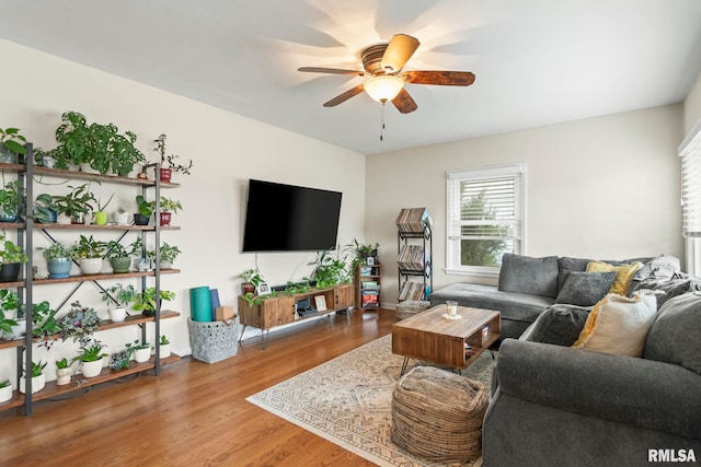 living room featuring a ceiling fan and wood finished floors