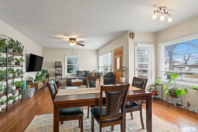 dining area with a ceiling fan and light wood-type flooring