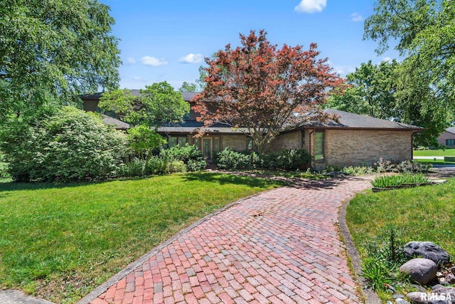 view of front of house with a front yard and brick siding