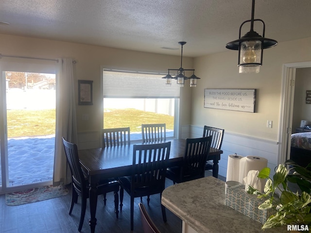 dining area with plenty of natural light, wainscoting, a textured ceiling, and dark wood-type flooring