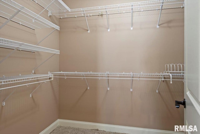 view of spacious closet