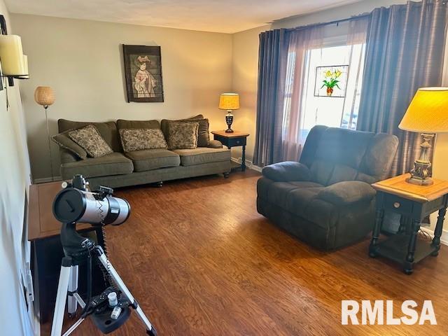 living room with wood finished floors