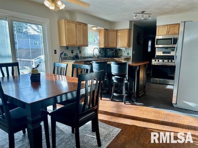 kitchen with light brown cabinetry, decorative backsplash, stainless steel appliances, and a sink