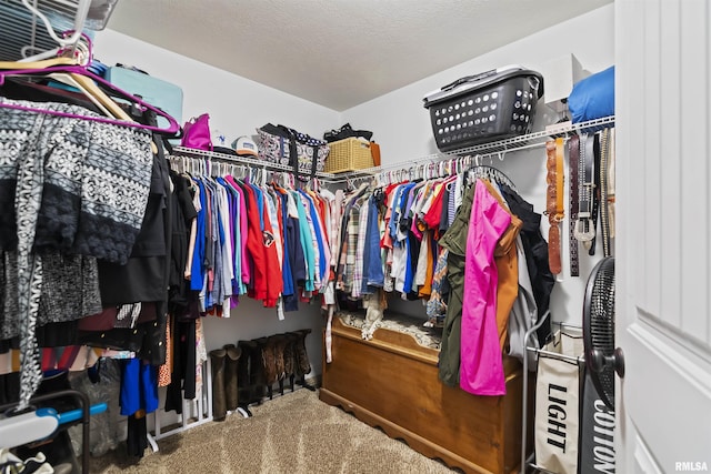 spacious closet with carpet floors