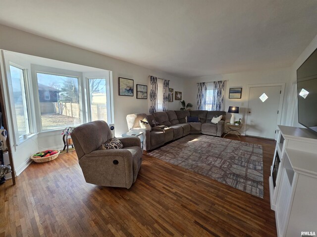 living area featuring wood finished floors