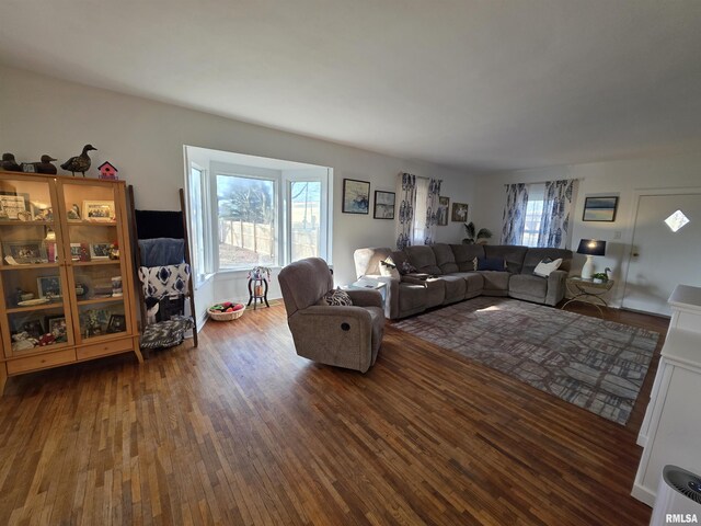 living room with wood finished floors