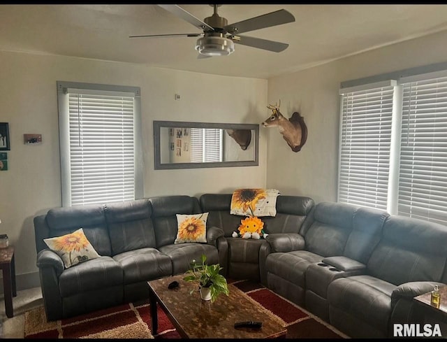 living area with a ceiling fan