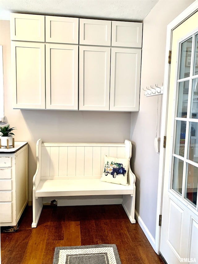 interior space featuring baseboards and dark wood-type flooring