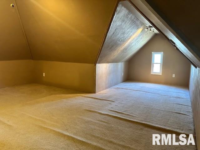 additional living space featuring carpet and vaulted ceiling