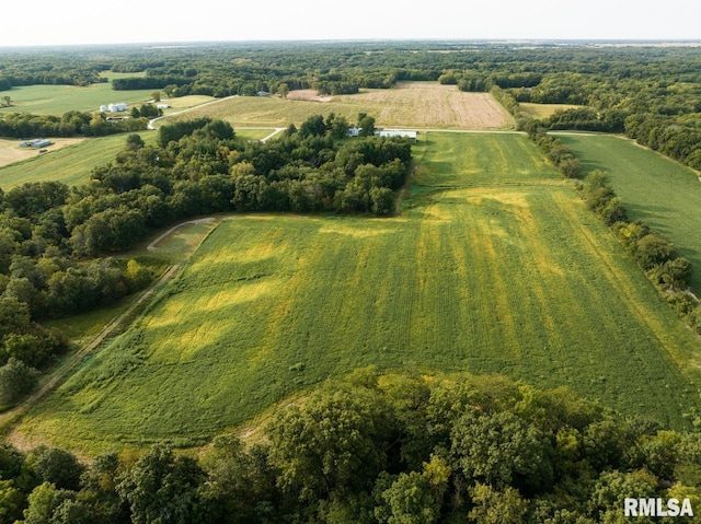 00 N Hickory School Rd, Industry IL, 61440 land for sale