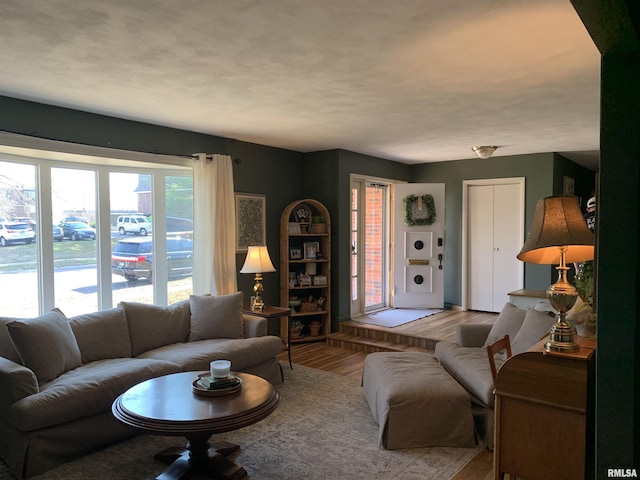 living room featuring wood finished floors