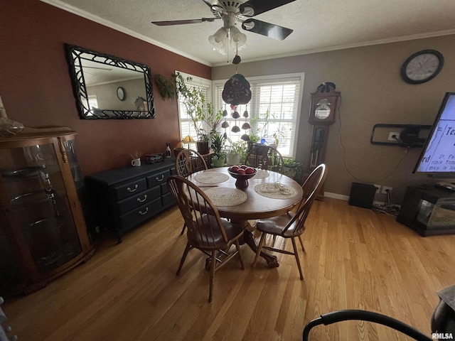 dining room featuring light wood finished floors, a textured ceiling, a ceiling fan, and ornamental molding