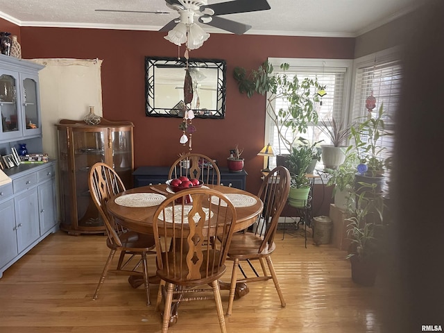 dining space with a textured ceiling, light wood-style flooring, ornamental molding, and ceiling fan