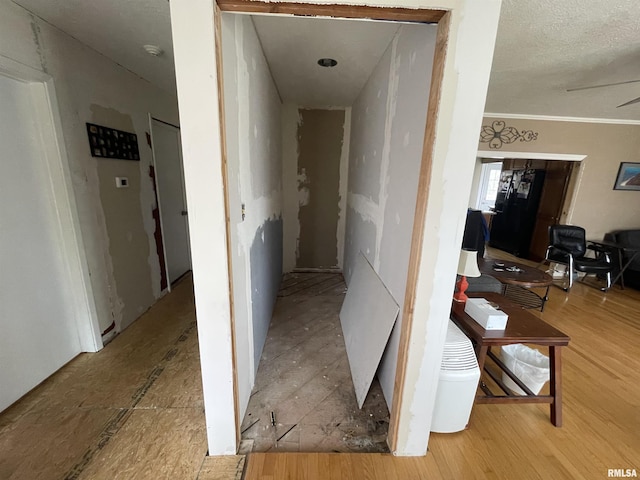 hallway featuring wood finished floors