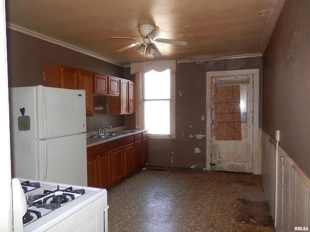 kitchen with a sink, white appliances, ornamental molding, and a ceiling fan