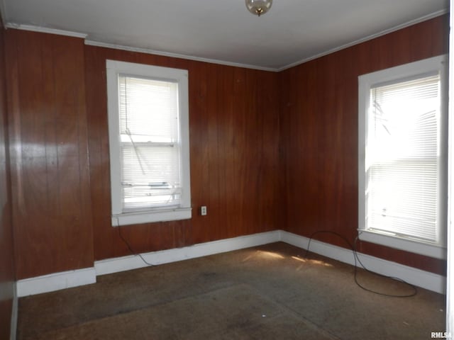 empty room featuring a healthy amount of sunlight, crown molding, and carpet