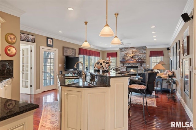 kitchen with a stone fireplace, ornamental molding, open floor plan, and a sink