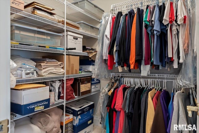 view of spacious closet