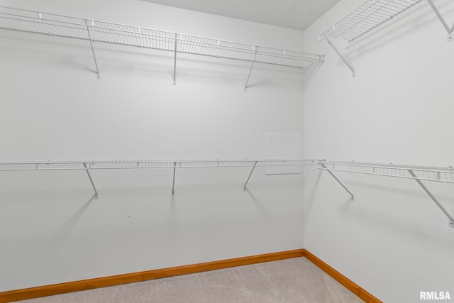 421 Turtle Dove Dr, Sherman, IL 62684 - spacious closet featuring light carpet
