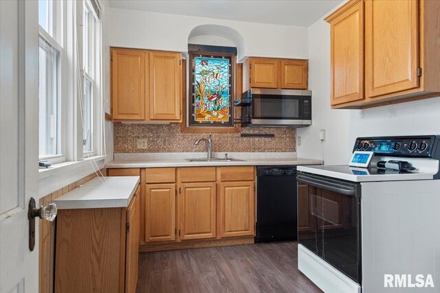kitchen with stainless steel microwave, light countertops, dishwasher, a sink, and electric range oven