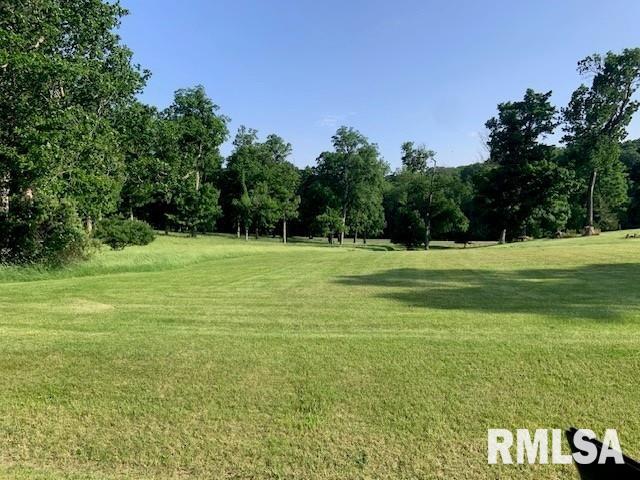 3 Governors Dr, Elkhart, IL 62634 - photo 1